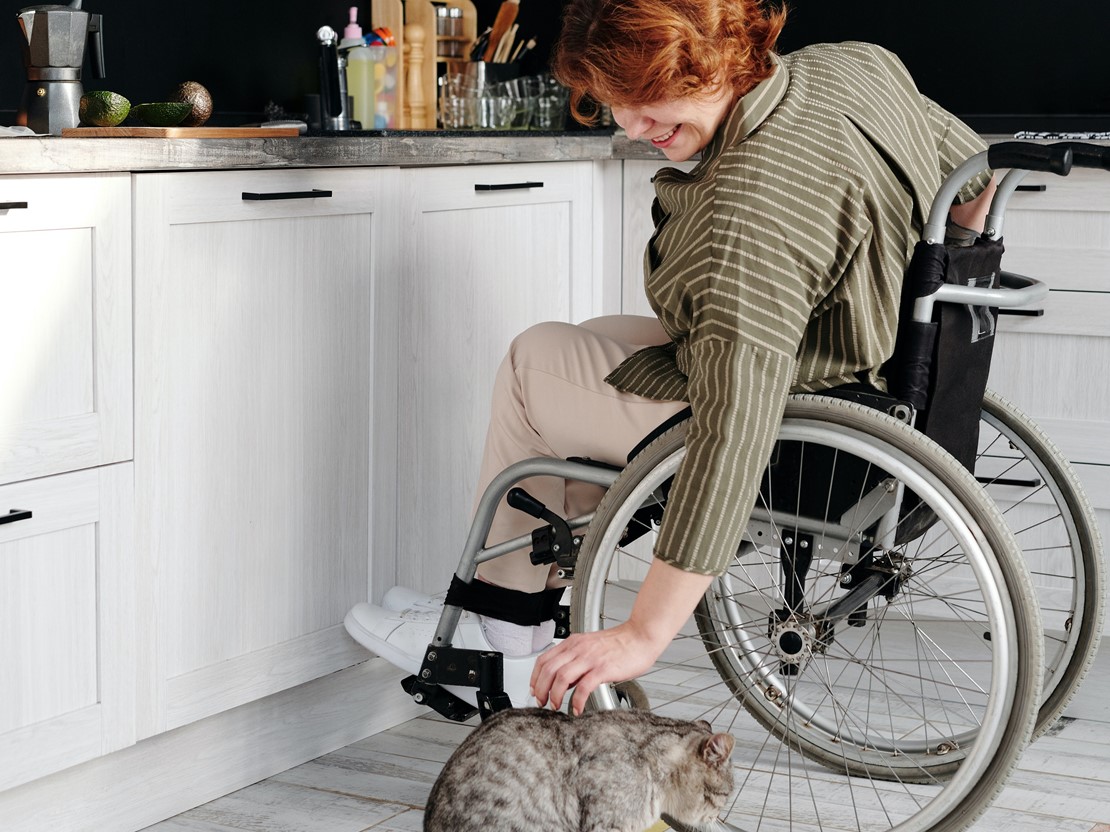 Wheelchair user playing with a cat