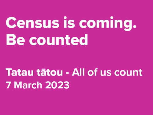 Census 2023 graphic